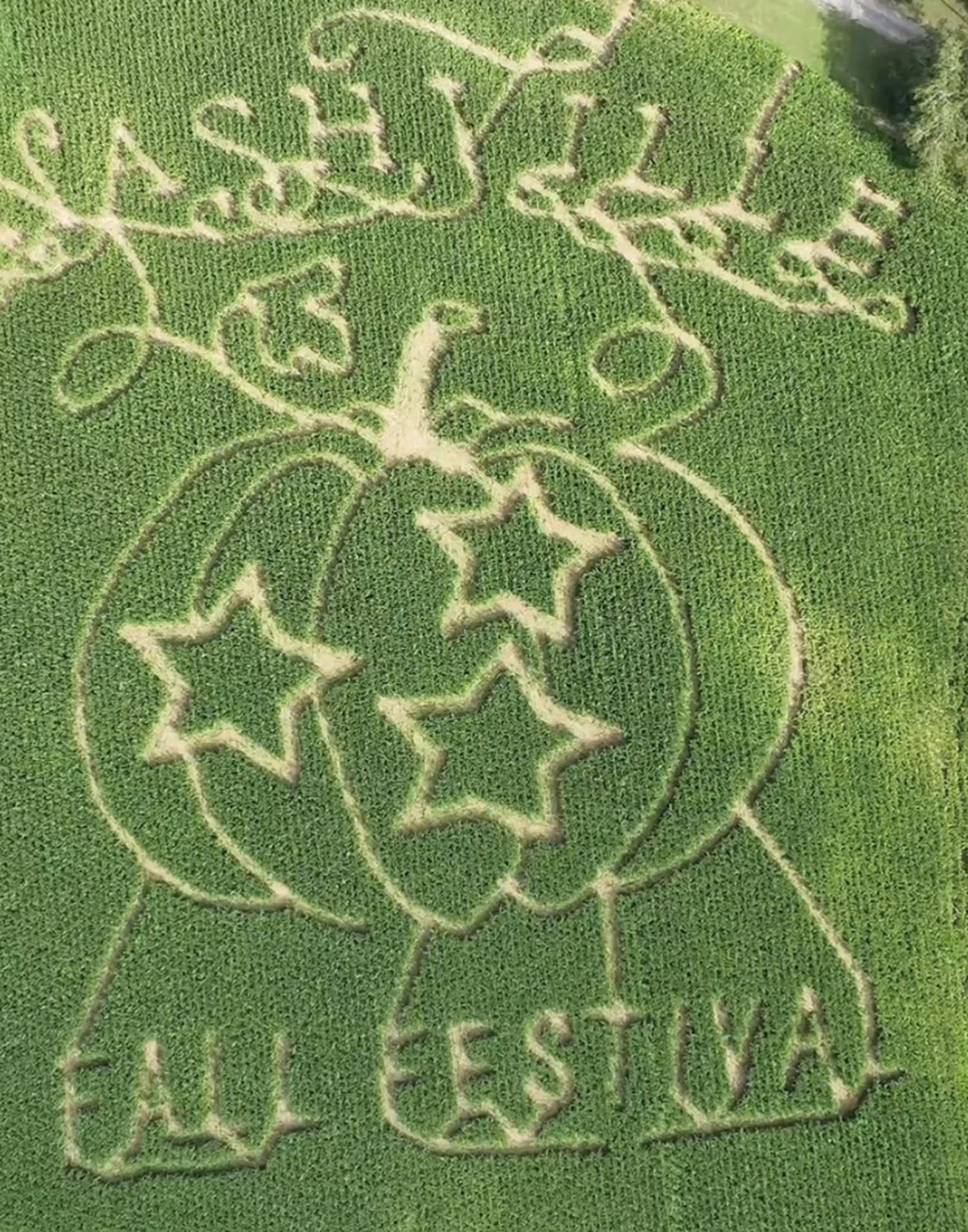 The hillside corn maze at the Nashville Fall Festival from above, its festival design carved into the green field